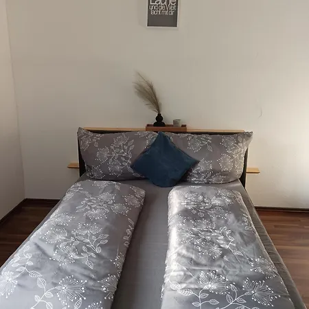 Oberhof 度假居 魏森巴赫安莱赫